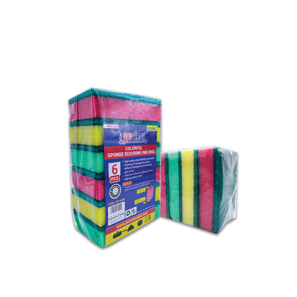 Colorful Sponge Scouring Pad_CS-0490 ( 6pcs )